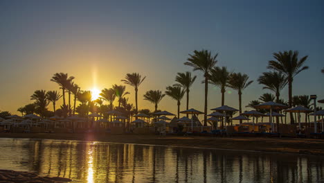 Sun-Sunset-over-sandy-beach-at-Red-Sea-tall-palm-tree-time-lapse-no-clouds