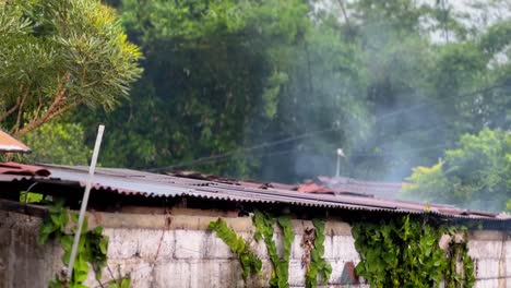 Lluvia-En-El-Campo,-Indonesia.-Clima-Húmedo.