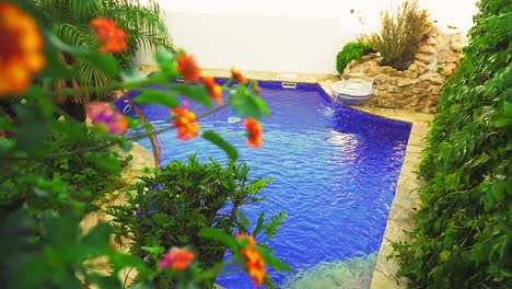 Idyllic-Garden-Pool-with-Flowering-Plants