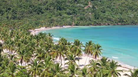 Drone-panorama-of-turquoise-bay-water-in-front-of-sandy-beach-with-palm-trees