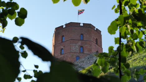 Blick-Hinauf-Zum-Turm-Der-Gediminas-Burg-Durch-Laub-In-Vilnius,-Litauen