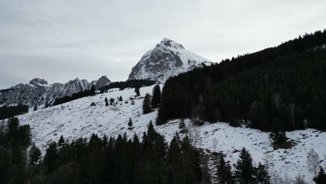 Fronalpstock-Glarus-Switzerland-fly-over-dark-forest-on-gloomy-day-in-the-Alps