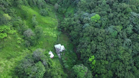 Volando-Sobre-Una-Exuberante-Vegetación-Verde-En-Las-Montañas-De-Guadalupe,-Francia---Disparo-De-Drones
