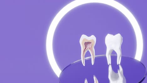 Anatomía-De-La-Raíz-Dental:-Primer-Diente-Molar-Maxilar,-Animación-Médicamente-Dental-En-3D-Sobre-El-Espejo-Del-Dentista.