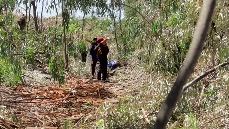 Deforestación,-Hombres-Negros-Cargando-Troncos-Desde-El-Sitio-De-Tala