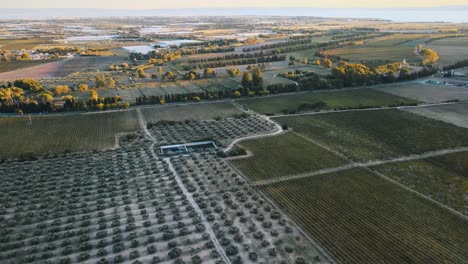 Luftaufnahme-Mehrerer-Weinberge-In-Der-Französischen-Landschaft