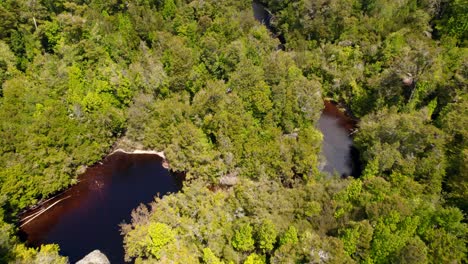Bird's-eye-view-of-reddish-pools-of-water-in-the-forests-of-tepuhueico-park,-chiloe,-Chile