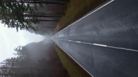 Vuelo-Vertical-Aéreo-Sobre-El-Camino-Recto-En-El-Bosque-De-Niebla---Horror,-Concepto-De-Paisaje-Oscuro