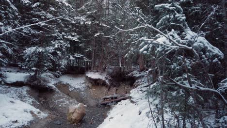 Fresh-water-well-spring-in-the-forest-in-winter-revealed