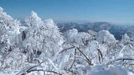 Bosque-Cubierto-De-Nieve---Vista-Pov-Desde-La-Cima-De-La-Montaña-En-Un-Día-Soleado