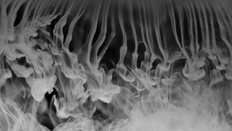 Short-flow-of-white-smoke-forms-incredible-curly-shapes-and-dissolves-into-milky-haze