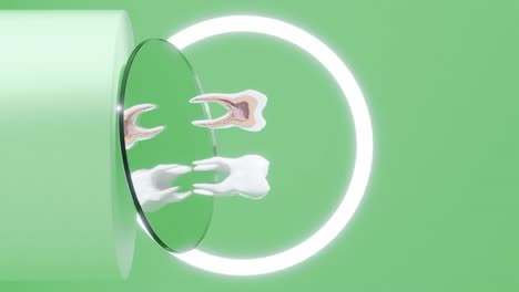 Vertikale-Drehung-Des-Backenzahns-Um-Einen-Spiegel-Im-Zahnarztstudio,-3D-Rendering-Animation-Zur-Zahnpflege,-Halber-Zahn,-Der-Nerv-Zur-Diagnose-Zeigt