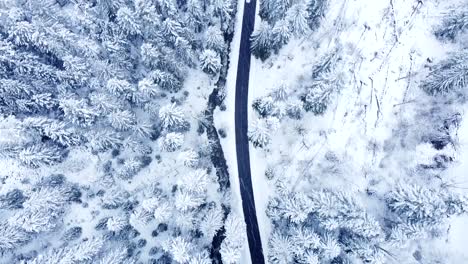 Aerial-top-down-view-of-a-rural-road-in-winter-with-cars-passing-among-snow-capped-evergreen-trees