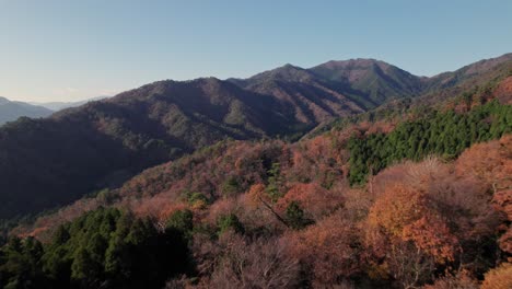 Luftpanoramalandschaft-Des-Herbstwaldes-Mit-Tageslicht-Skyline-In-Hyogo,-Japan,-Zeitlupen-Breitenentwicklung