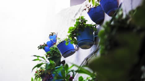 Malerische-Aufnahme-Von-Blauen-Blumentöpfen,-Die-Auf-Dem-Balkon-Eines-Traditionellen-Weißen-Dorfes-Hängen