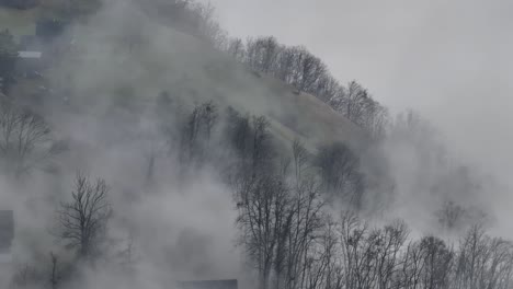 Flüstern-Des-Winters-Im-Nebelschleier-Von-Wald,-Schweiz