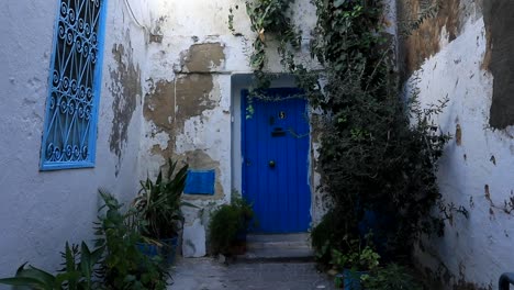 Entrada-Con-Puerta-Azul-En-Un-Estrecho-Y-Sucio-Patio-Blanco-Tunecino-Con-Plantas-Verdes-Que-Se-Desplazan-Hacia-Abajo
