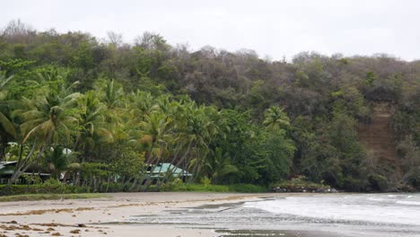 Tropical-beach-with-lush-greenery-and-palm-trees-in-Grenada,-overcast-sky