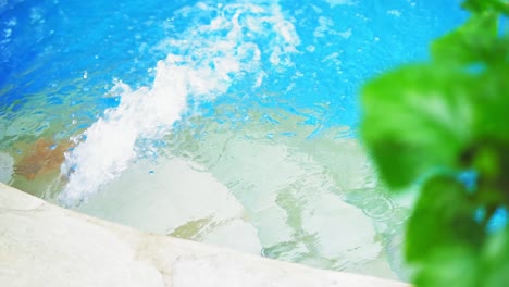 Vivid-pool-splash-with-green-leaves-blur