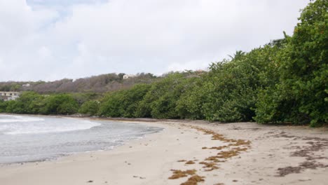 Abgeschiedener-Segresse-Strand-In-Grenada-Mit-üppigem-Grün-Und-Sanften-Wellen