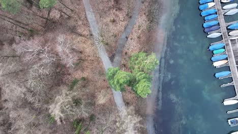 Árboles-Costeros-De-Invierno-En-Weesen,-Suiza---Vista-Aérea-De-Arriba-Hacia-Abajo