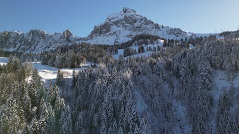 Fronalpstock-Glarus-Switzerland-sunny-winter-forest-in-the-Alps-reverse-aerial