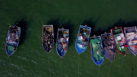 Fishing-Boats-with-Top-Down-View-from-Aerial-Drone-at-Playa-Paracas,-Peru