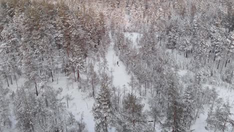 Persona-Practicando-Esquí-De-Fondo-Con-Un-Perro-En-El-Bosque-De-Invierno