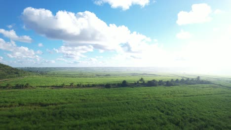 Verdant-landscape-of-Guadeloupe.-Aerial-drone-panoramic-view