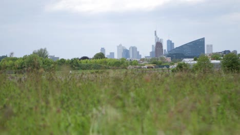 Urban-skyline-viewed-from-grassy-field,-cloudy-day,-camera-tilts-up-revealing-cityscape