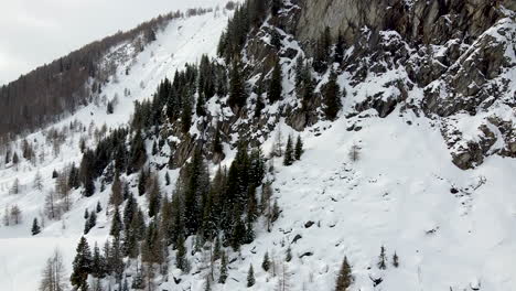 A-rising-shot-of-a-snowy-forest-which-has-grown-on-the-side-of-a-cliff