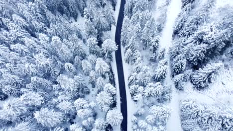 Aerial-top-down-view-slow-fly-of-a-rural-road-in-winter-among-snow-capped-evergreen-trees