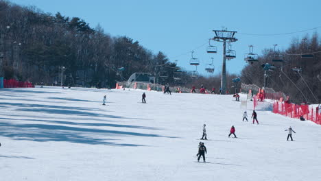 Fresh-Skiers-Learn-Skiing-Down-the-Slope-with-Instructors-on-Piste,-Winter-Sport-and-Snow-Ski-Lift---Alpensia-Resort,-Daegwallyeong-myeon