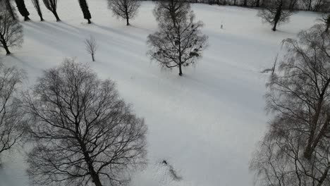 Parque-Forestal-De-Walensee,-Suiza,-Con-El-Sol-Asomando-A-Través-De-Un-Vuelo-Lateral