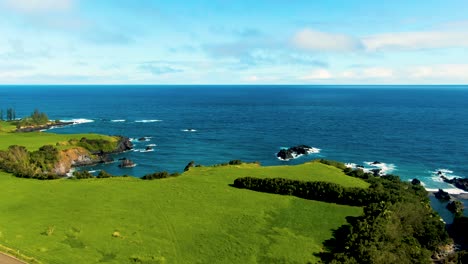 Grüne-Küste-Und-Pazifischer-Ozean-Horizont-Von-Hawaii-Insel,-Luftbild