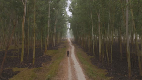 Drone-shot-of-a-local-male-cycling-in-dense-forest-of-Terai-region-in-Nepal