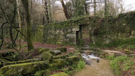 Ruinas-Antiguas-Cubiertas-De-Musgo-Junto-Al-Arroyo-Del-Bosque-Balbuceante