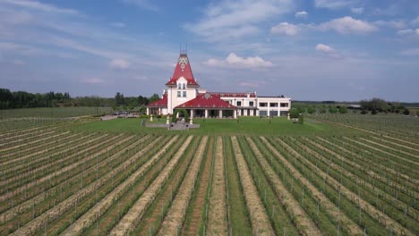 Drone-Shot-of-Vineyard-and-Authentic-WInery-Building-in-Vojvodina,-Serbia