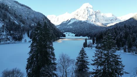 Obersee-Suiza-Glarus-Vuela-Entre-Los-árboles-Para-Revelar-El-Lago-Y-Los-Alpes