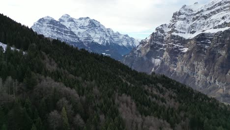 Fronalpstock-Glarus-Switzerland-low-aerial-over-the-evergreen-forest-in-the-mountains