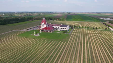 Vista-Aérea-Del-Edificio-De-La-Bodega-Y-Viñedos-En-El-Idílico-Paisaje-Rural-De-Palic,-Serbia