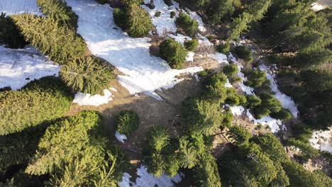 Winterliche-Berührung-Auf-Dem-Schweizer-Waldboden---Luftaufnahme-Von-Oben