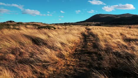 Hiking-trail-in-the-mountains-on-a-sunny-autumn-day