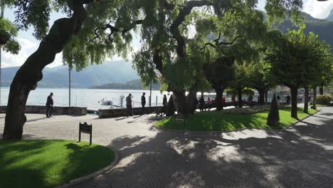 Majestic-Trees-Grows-in-Promenade-of-Menaggio-Town