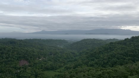 Fly-over-on-the-endless-woodland-in-foggy-and-cloudy-sky