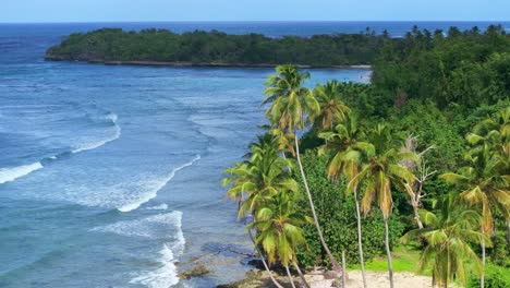 Toma-De-Drones-De-Palmeras-Altas-En-Una-Playa-De-Arena-Con-Olas-Que-Llegan