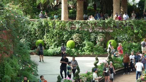 Touristen-Und-Einheimische-Besuchen-Die-Wahrzeichenattraktion,-Die-Weltgrößte-Glasgewächshaus-Blumenkuppel-In-Den-Gardens-By-The-Bay-Mit-Einer-Vielzahl-Von-Blumen-Und-Pflanzen-Im-Wintergarten,-Statische-Aufnahme