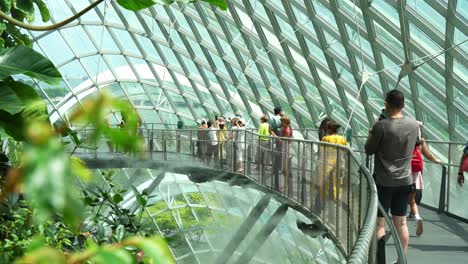 Tourists-and-locals-walking-on-cloud-forest-aerial-walkway,-greenhouse-conservatory-with-temperature-control-and-mist-spraying-to-keep-the-environment-moist,-Gardens-by-the-bay-the-top-attraction