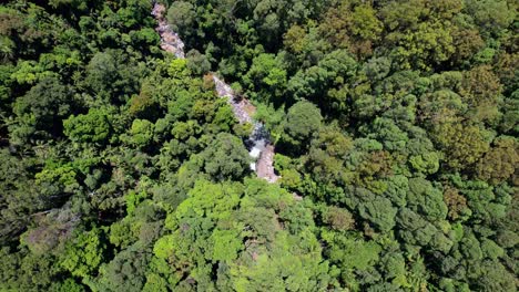 Mount-Cougal-Waterfalls-And-Lush-Rainforest-In-Currumbin-Valley,-Queensland,-Australia---Aerial-Top-Down