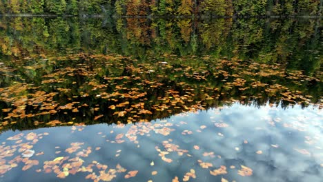 Autumn-leaves-pirouette-on-a-calm-lake,-mirroring-the-fiery-hues-of-the-changing-forest